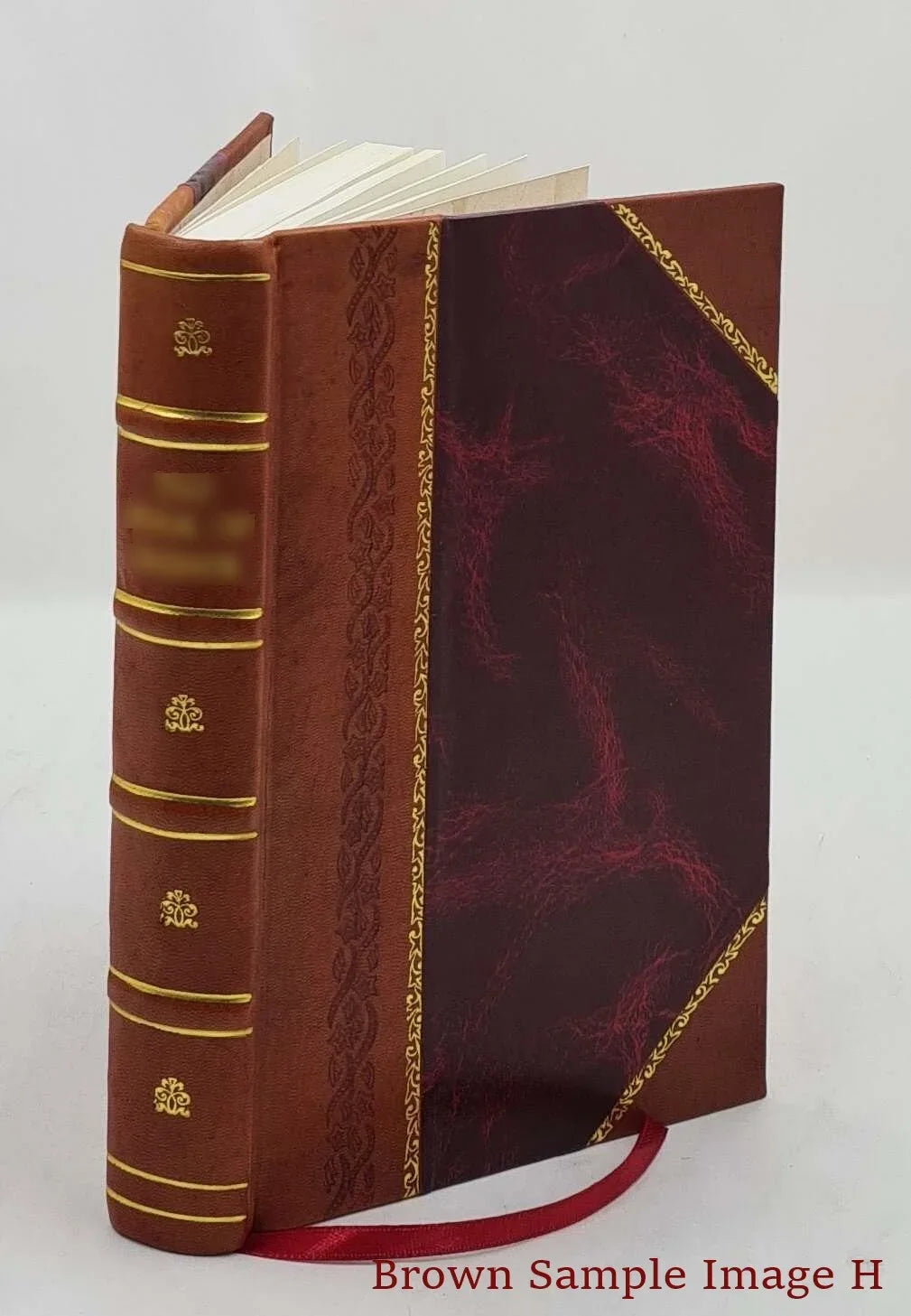 1910 [Leather Bound]. The story of the Bernheim family / by Isaac Wolfe Bernheim