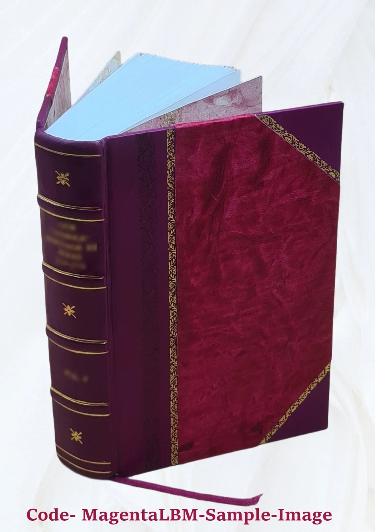 187. Nordhoff. J.B. Nach den quellen und erhaltenen monumenten dargestellt von Dr. Der holz- und steinbau Westfalens in seiner culturgeschichtlichen und systematischen entwickelung