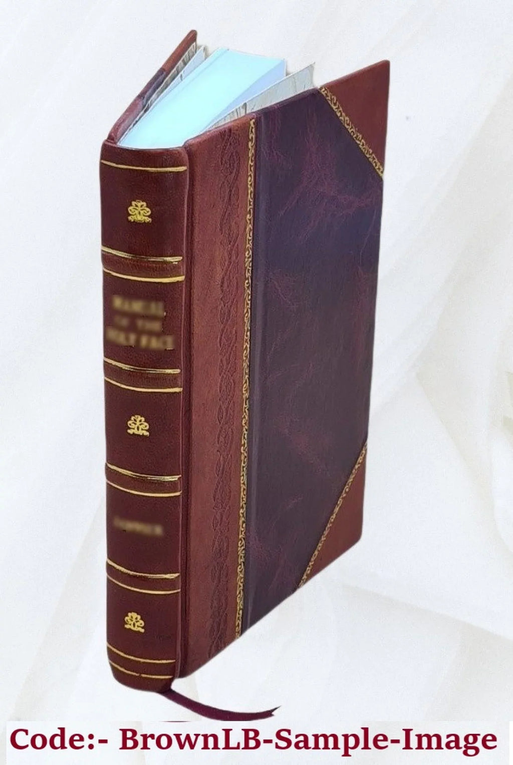 1881 [Leather Bound]. Das Gewerbe-Monogramm / herausgegeben von Martin Gerlach = Le monogramme industriel / par Martin Gerlach = Industrial monograms / edited by Martin Gerlach