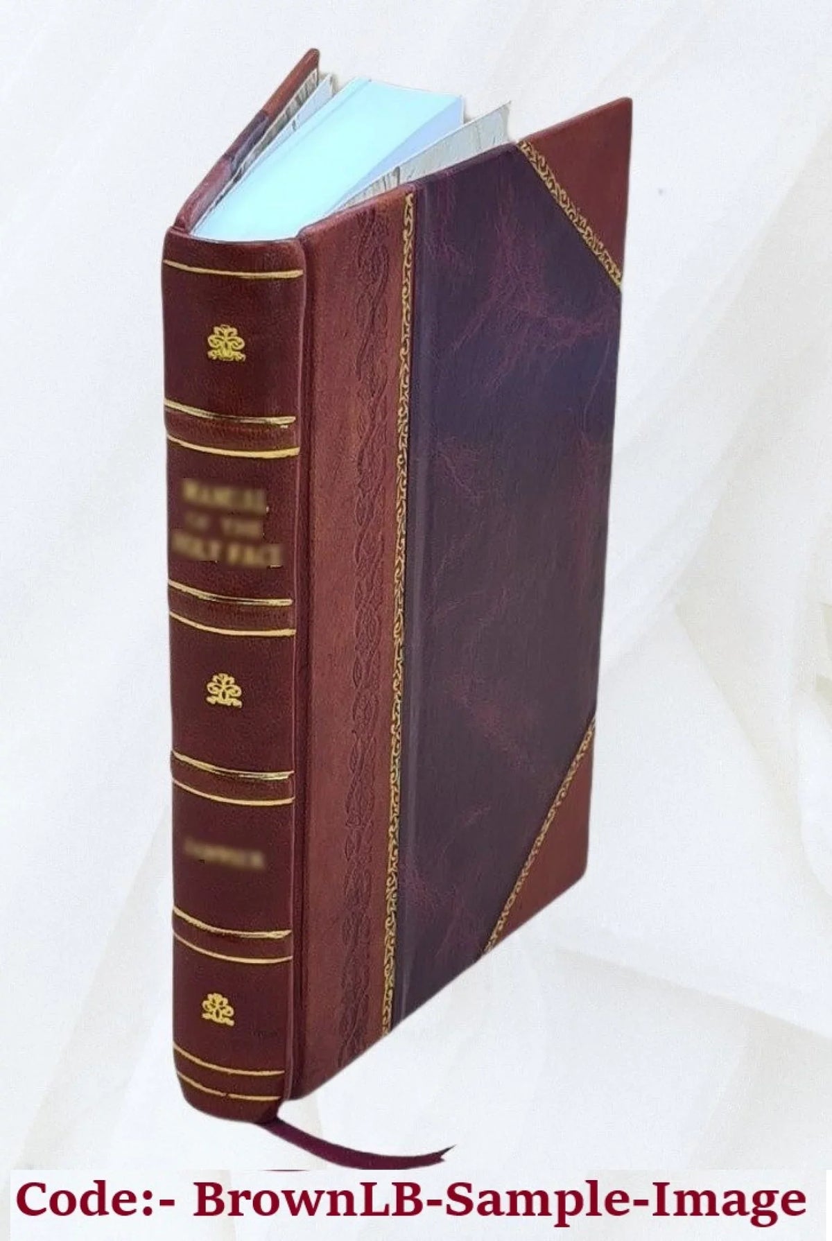 1881 [Leather Bound]. Das Gewerbe-Monogramm / herausgegeben von Martin Gerlach = Le monogramme industriel / par Martin Gerlach = Industrial monograms / edited by Martin Gerlach