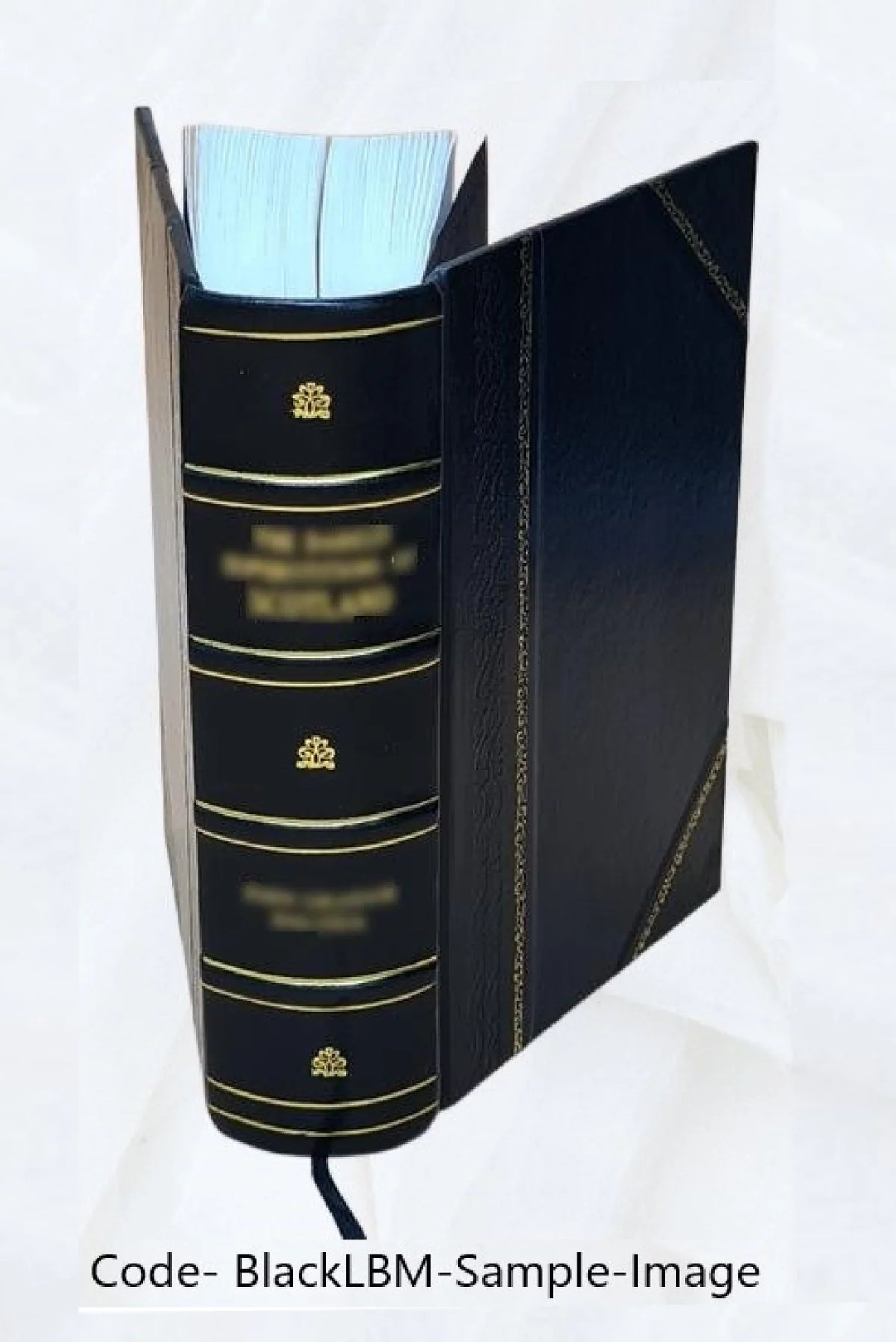 1962. [et al.]. Boyer ... Selected readings on the legal profession / assembled under the auspices of a committee of the Association of American Law Schools ; [edited by Benjamin F